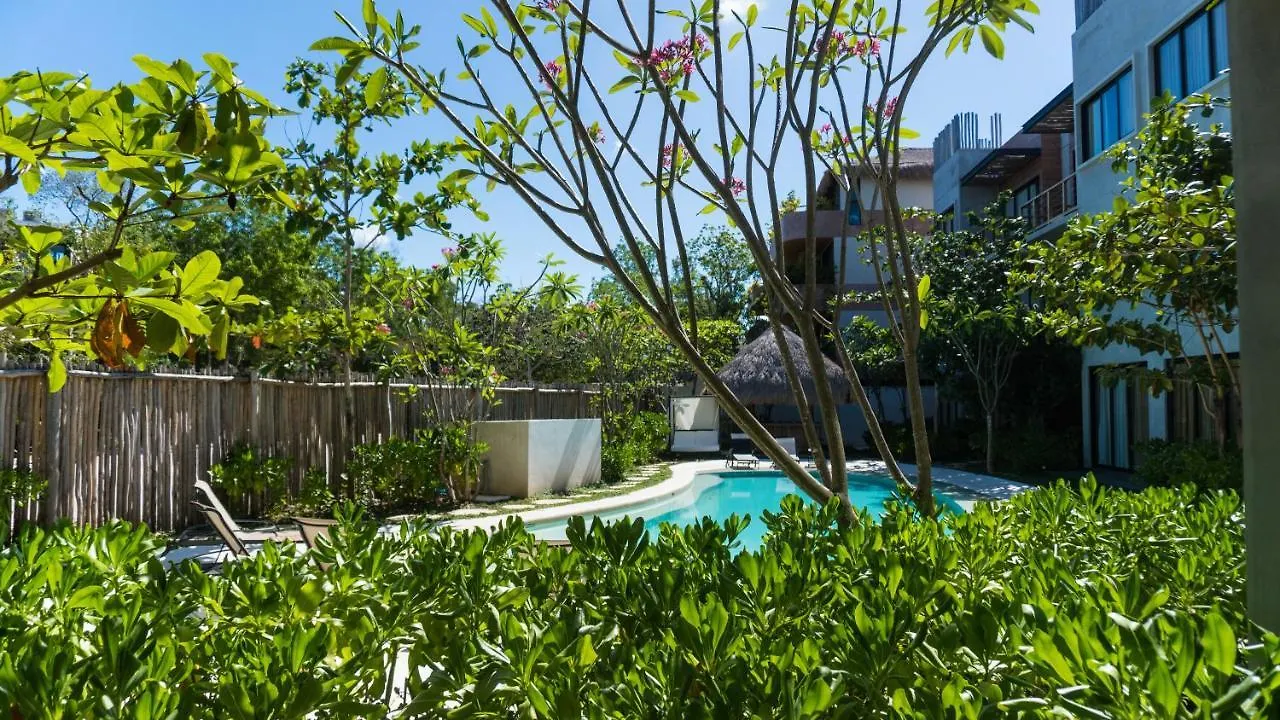 Macondo Tulum 2*,